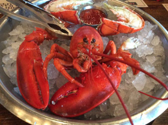 todd english pub lobster cocktail