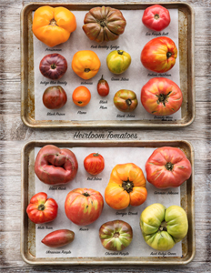 alabama heirloom tomatoes